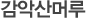 감악산머루